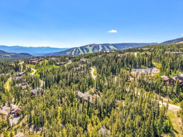 83 Peaks View Dr, Big Sky, MT 59718 - view of mountain backdrop with a heavily wooded area