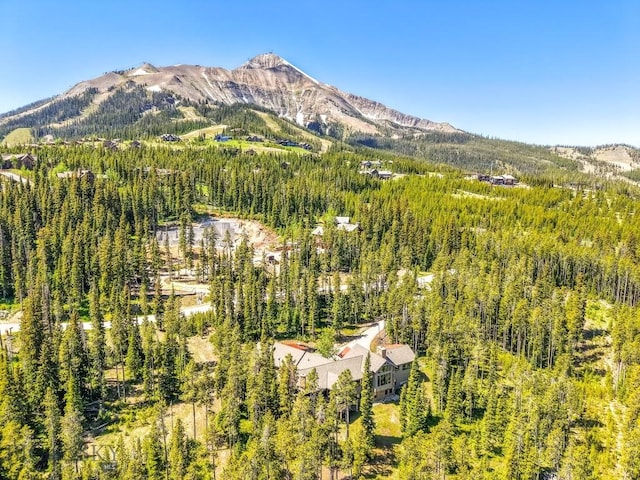 83 Peaks View Dr, Big Sky, MT 59718 - view of mountain background featuring a heavily wooded area