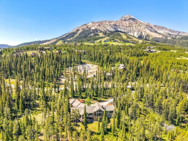 83 Peaks View Dr, Big Sky, MT 59718 - view of mountain background with a heavily wooded area