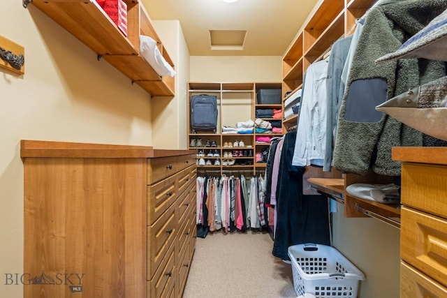 83 Peaks View Dr, Big Sky, MT 59718 - walk in closet featuring carpet and attic access