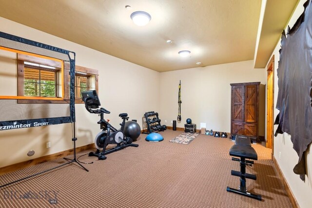 83 Peaks View Dr, Big Sky, MT 59718 - exercise room featuring baseboards and carpet floors