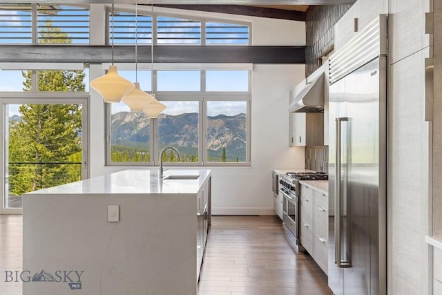 93 Goshawk Trl, Big Sky, MT 59716 - kitchen featuring high quality appliances, range hood, a center island with sink, a mountain view, and dark wood-style flooring