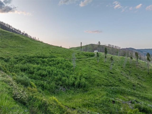 225 Alpen Strasse St, Bozeman, MT 59715 - view of yard