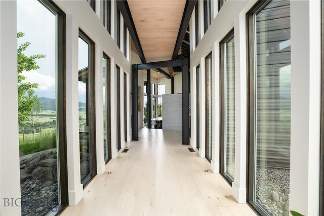 225 Alpen Strasse St, Bozeman, MT 59715 - corridor featuring light wood-style flooring, plenty of natural light, and wooden ceiling
