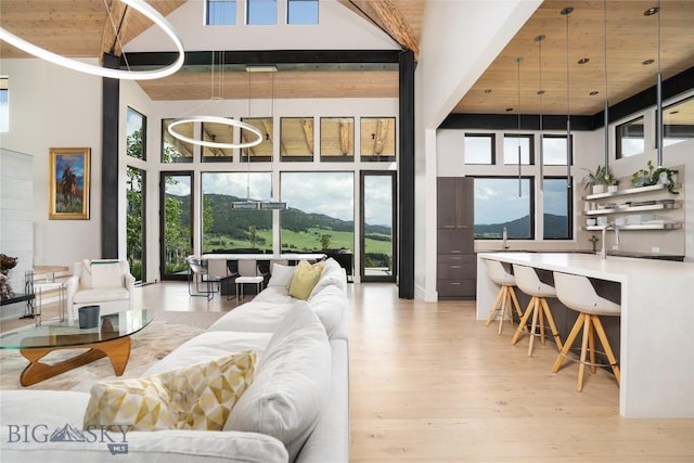 225 Alpen Strasse St, Bozeman, MT 59715 - living area featuring light wood-style floors, a towering ceiling, and wood ceiling