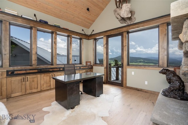 225 Alpen Strasse St, Bozeman, MT 59715 - office with wooden ceiling, healthy amount of natural light, light wood-type flooring, and high vaulted ceiling