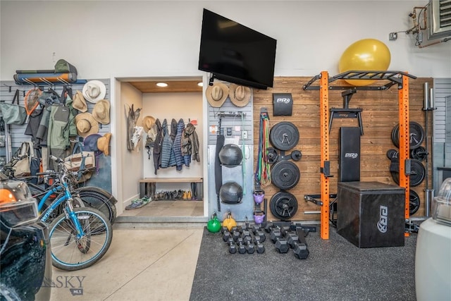 225 Alpen Strasse St, Bozeman, MT 59715 - workout room with wooden walls