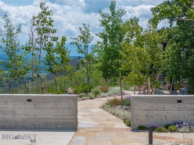 225 Alpen Strasse St, Bozeman, MT 59715 - view of community