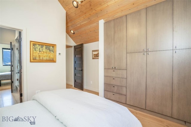 225 Alpen Strasse St, Bozeman, MT 59715 - bedroom featuring vaulted ceiling and light wood-type flooring