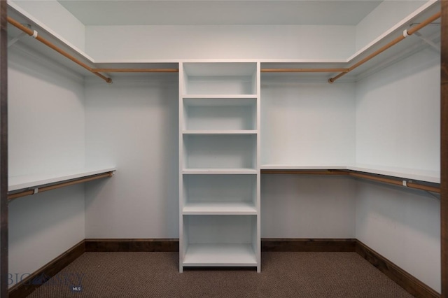 661 Doney Way, Bozeman, MT 59718 - spacious closet featuring carpet flooring