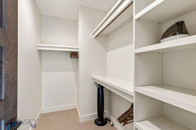 425 Outlook Trl, Big Sky, MT 59716 - walk in closet with carpet floors