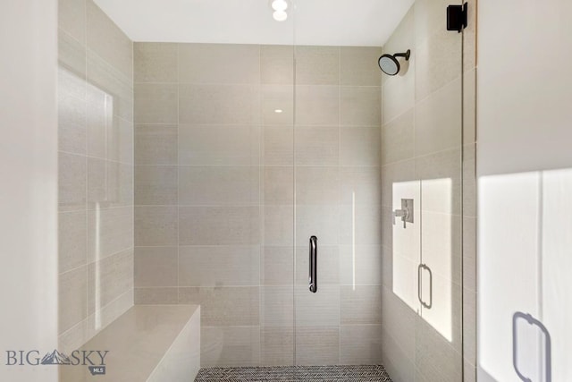 425 Outlook Trl, Big Sky, MT 59716 - bathroom with a shower stall