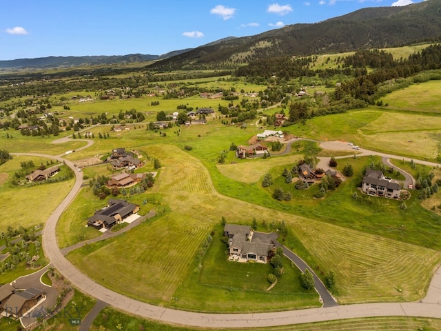 866 Doney Way, Bozeman, MT 59718 - photo 51