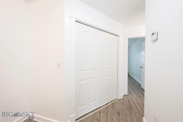 1010 Cruiser Ln Unit M, Belgrade, MT 59714 - corridor featuring light wood finished floors and baseboards
