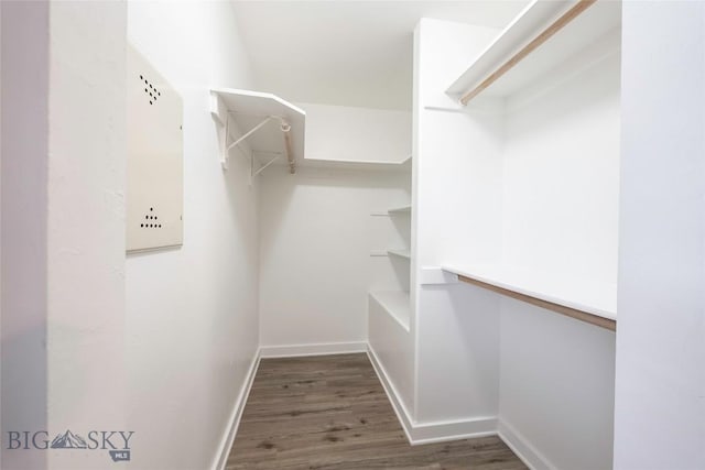 1010 Cruiser Ln Unit M, Belgrade, MT 59714 - spacious closet with wood finished floors