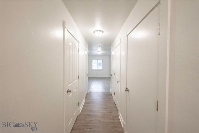 1010 Cruiser Ln Unit M, Belgrade, MT 59714 - hallway featuring wood finished floors and baseboards