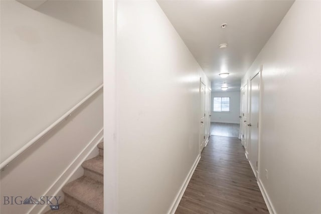 1010 Cruiser Ln Unit M, Belgrade, MT 59714 - hallway with dark wood finished floors and stairs