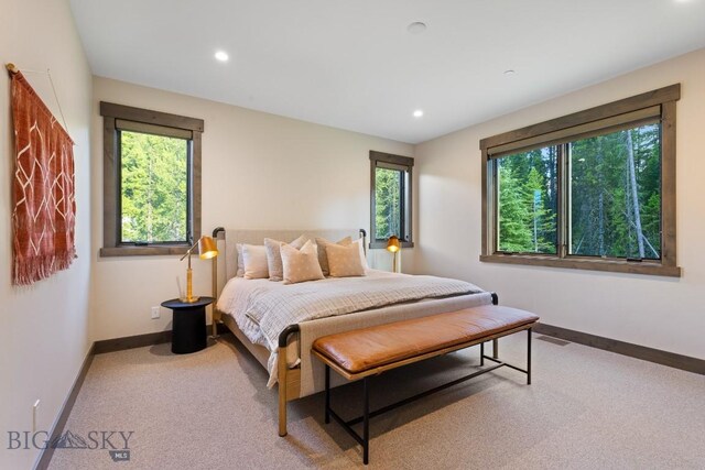 580 Outlook Trl Unit 42, Big Sky, MT 59730 - carpeted bedroom featuring baseboards and recessed lighting