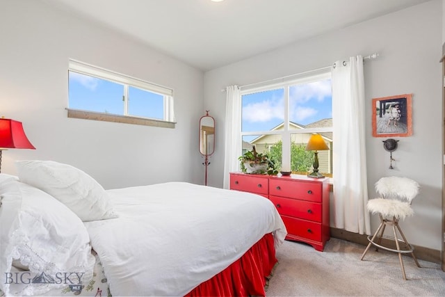 182 Snowy Owl Trl, Bozeman, MT 59718 - view of carpeted bedroom