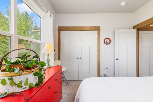 182 Snowy Owl Trl, Bozeman, MT 59718 - carpeted bedroom featuring a closet