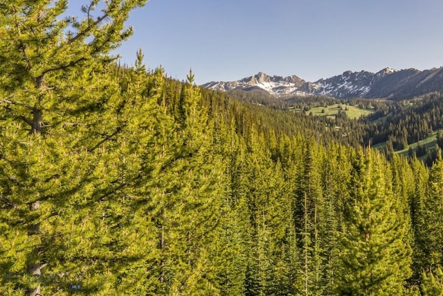 TBD Beehive Basin Rd, Big Sky, MT 59730