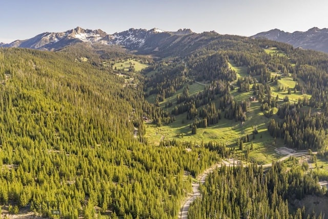 TBD Beehive Basin Rd, Big Sky, MT 59730