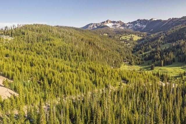 TBD Beehive Basin Rd, Big Sky, MT 59730