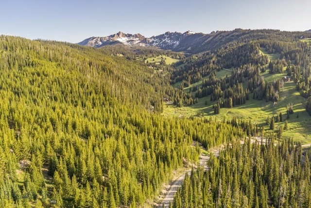 TBD Beehive Basin Rd, Big Sky, MT 59730
