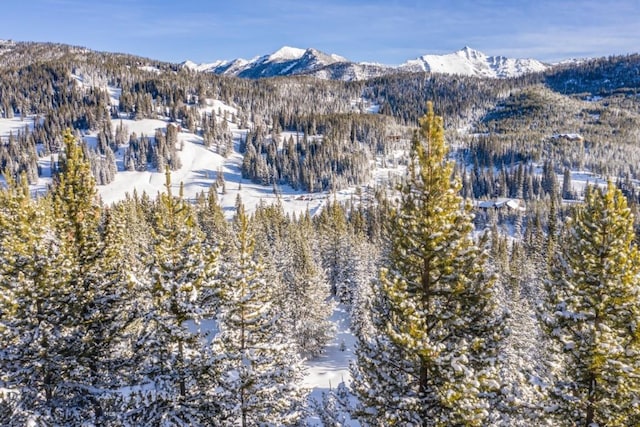 TBD Beehive Basin Rd, Big Sky, MT 59730