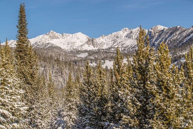 TBD Beehive Basin Rd, Big Sky, MT 59730