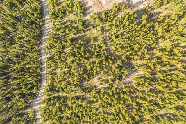 TBD Beehive Basin Rd, Big Sky, MT 59730