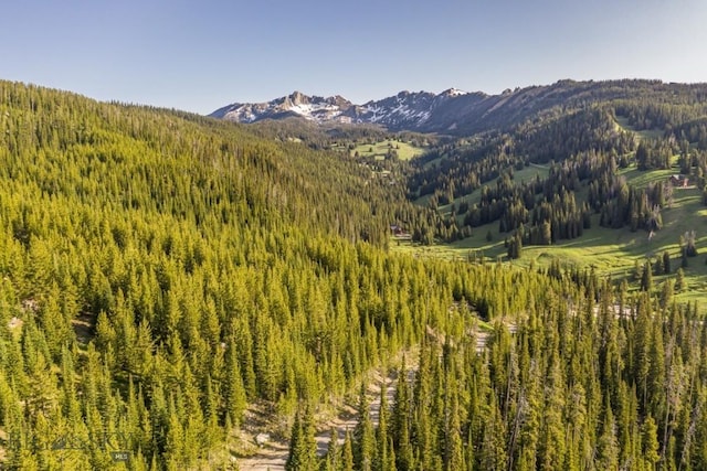 TBD Beehive Basin Rd, Big Sky, MT 59730