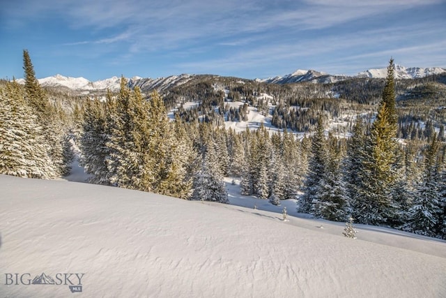 TBD Beehive Basin Rd, Big Sky, MT 59730