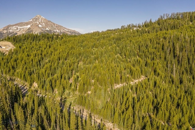 TBD Beehive Basin Rd, Big Sky, MT 59730