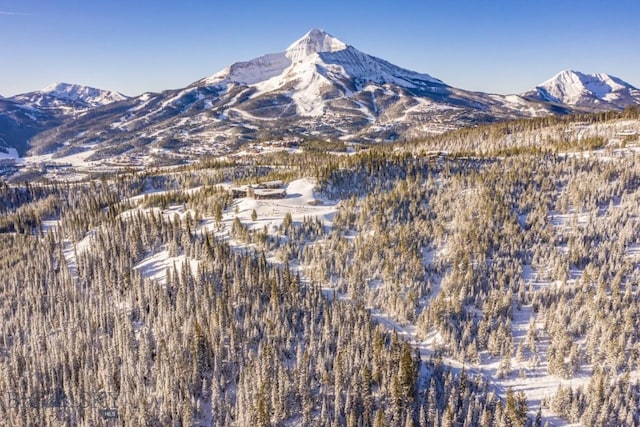 TBD Beehive Basin Rd, Big Sky, MT 59730