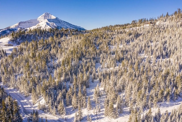 TBD Beehive Basin Rd, Big Sky, MT 59730