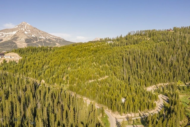 TBD Beehive Basin Rd, Big Sky, MT 59730