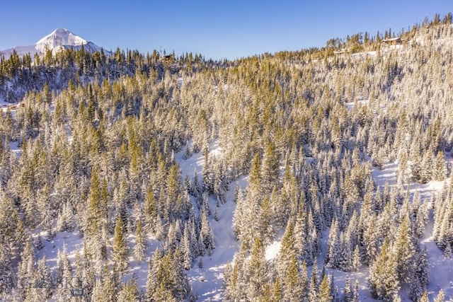 TBD Beehive Basin Rd, Big Sky, MT 59730