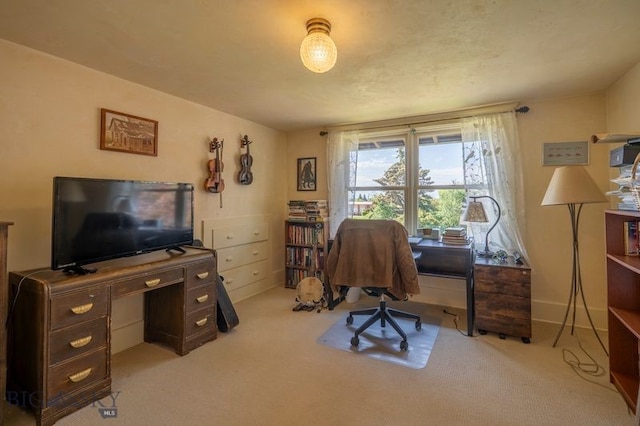 302 Ordway St S, Wilsall, MT 59086 - view of carpeted home office