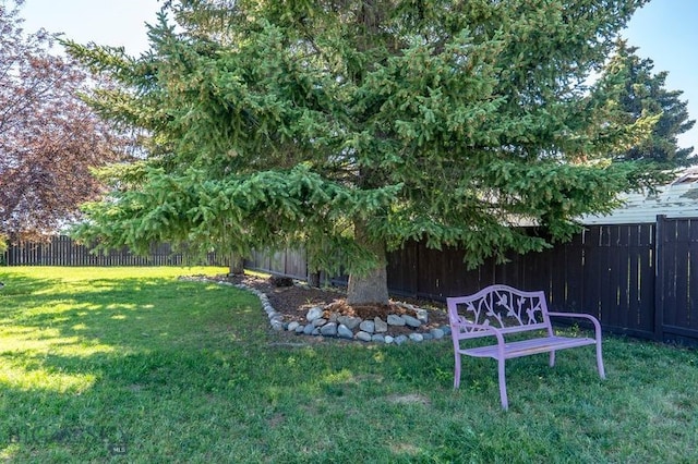 302 Ordway St S, Wilsall, MT 59086 - view of fenced backyard