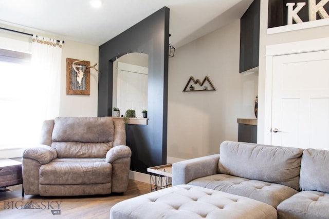 138 E Shade Tree Ln, Manhattan, MT 59741 - living room featuring wood finished floors and vaulted ceiling