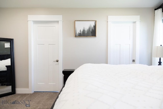 138 E Shade Tree Ln, Manhattan, MT 59741 - carpeted bedroom with baseboards