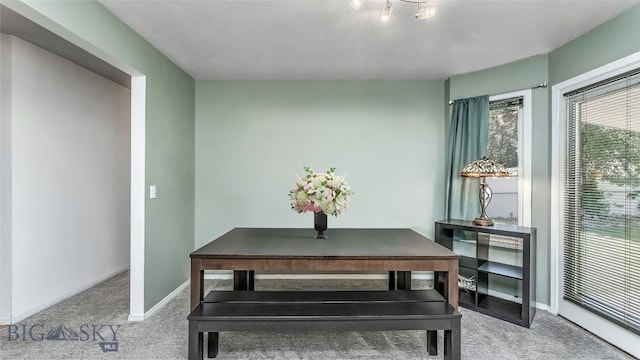 1008 E Missoula, Belgrade, MT 59714 - carpeted dining area featuring baseboards