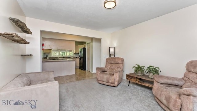 1008 E Missoula, Belgrade, MT 59714 - living area with light colored carpet