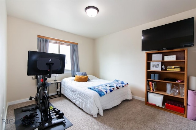 86 Tail Feather Unit C, Bozeman, MT 59718 - bedroom featuring carpet and baseboards
