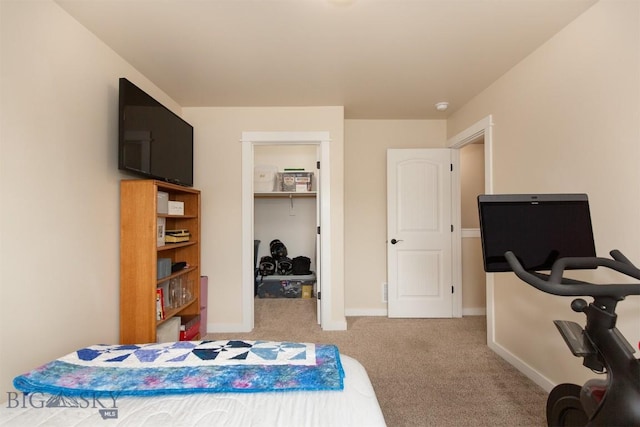86 Tail Feather Unit C, Bozeman, MT 59718 - bedroom featuring carpet, a spacious closet, and a closet