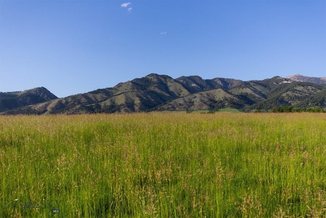 687 Glory Ln, Bozeman, MT 59715