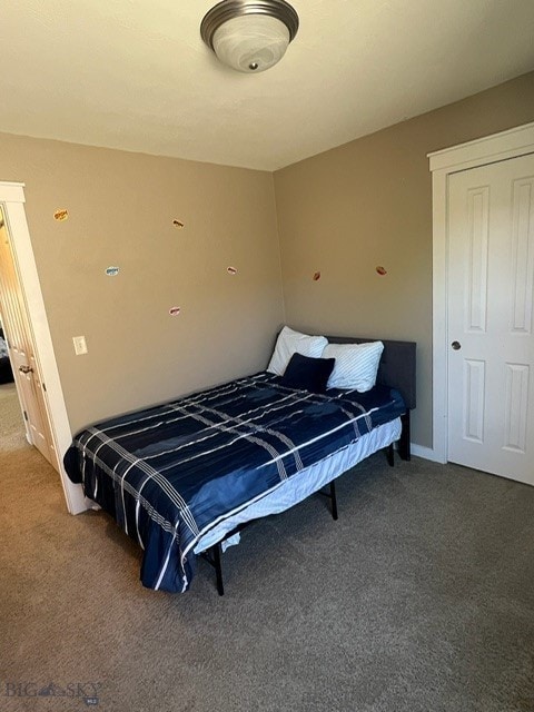 3885 Equestrian Ln, Bozeman, MT 59718 - carpeted bedroom featuring a closet