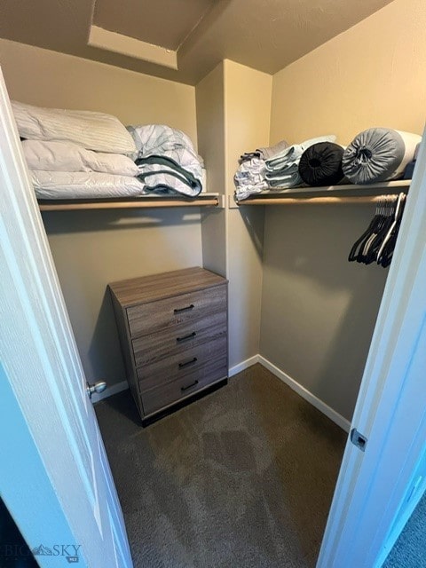 3885 Equestrian Ln, Bozeman, MT 59718 - walk in closet with dark colored carpet