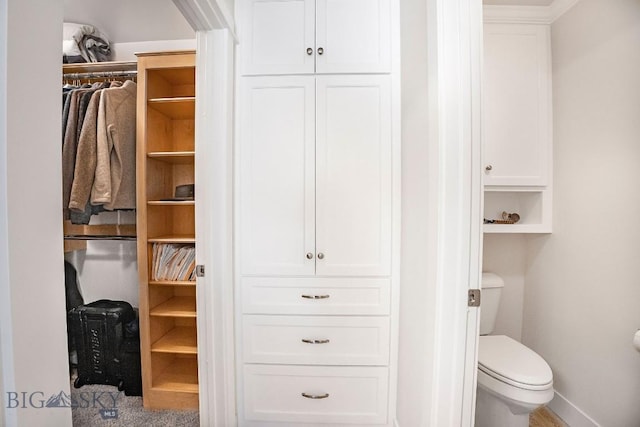 708 Pierre St, Belgrade, MT 59714 - view of closet